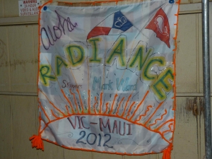 VM2012 Radiance Finish